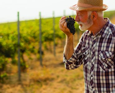 Aposentadoria rural: saiba como planejar, direitos, requisitos e como solicitar. Garanta seu benefício sem complicações!