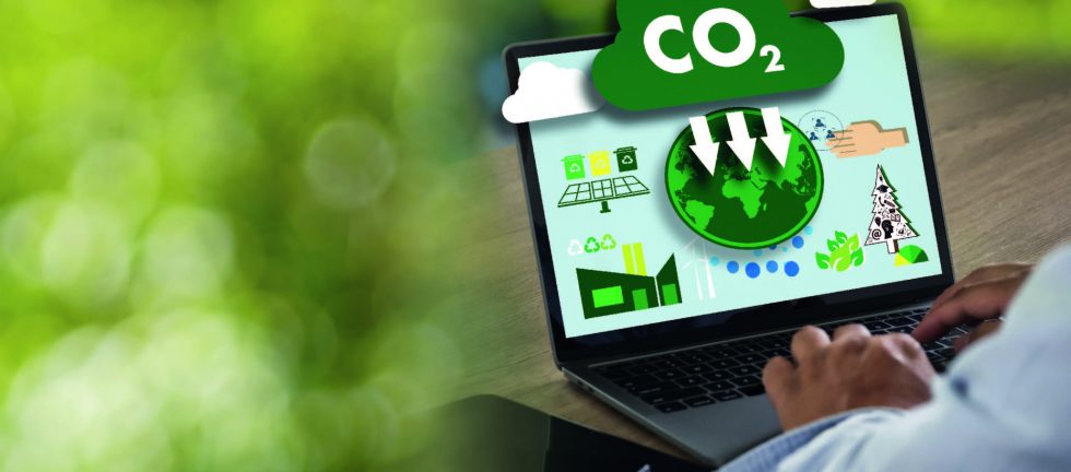A nova regulação de carbono no Brasil beneficia o agronegócio, oferecendo segurança jurídica e incentivos para a agricultura sustentável.
