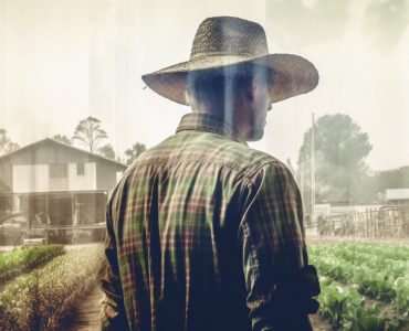 Estratégias de pagamento de dívidas rurais para produtores no Brasil.